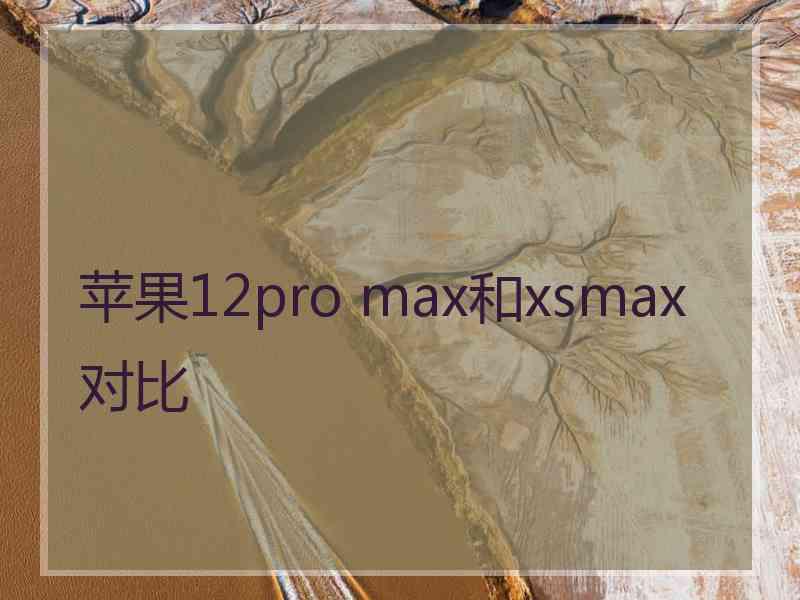 苹果12pro max和xsmax对比