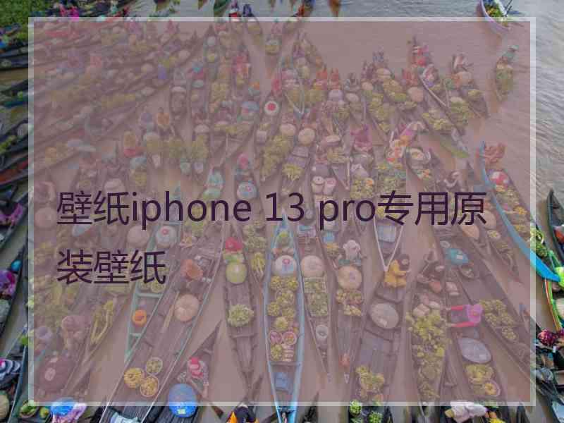 壁纸iphone 13 pro专用原装壁纸