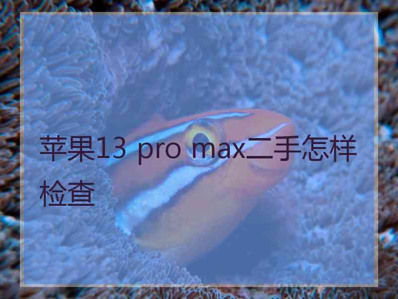 苹果13 pro max二手怎样检查