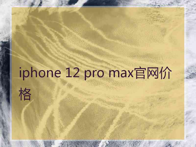 iphone 12 pro max官网价格