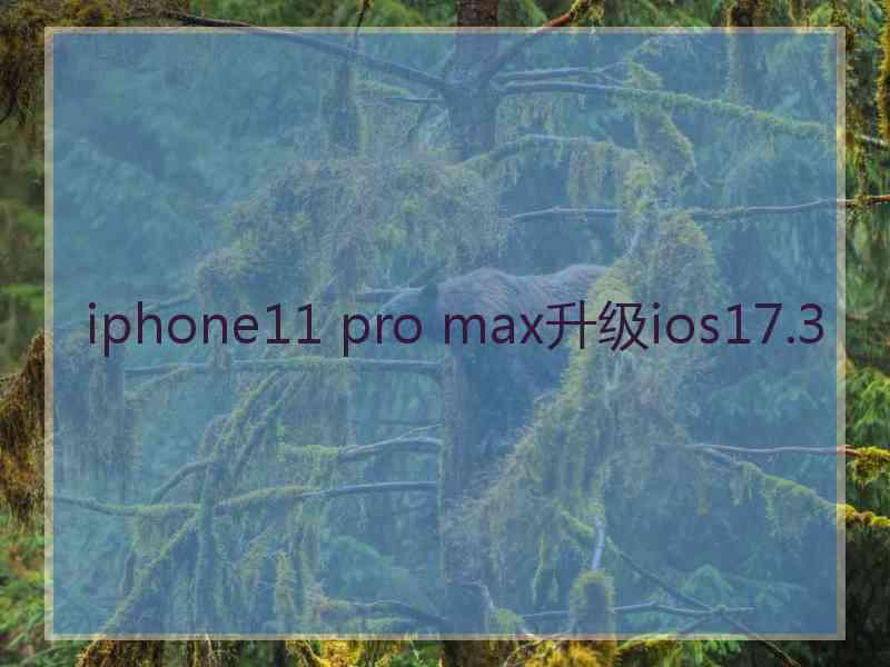 iphone11 pro max升级ios17.3