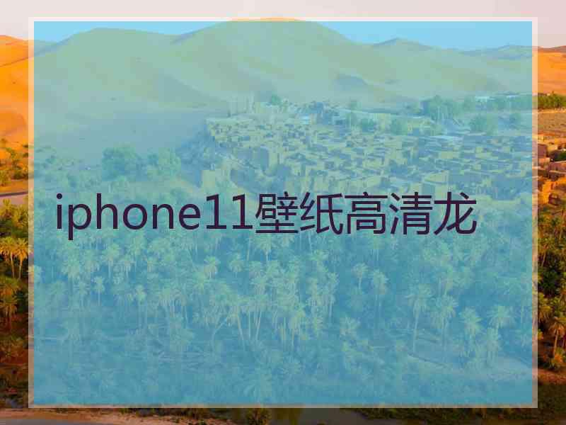 iphone11壁纸高清龙