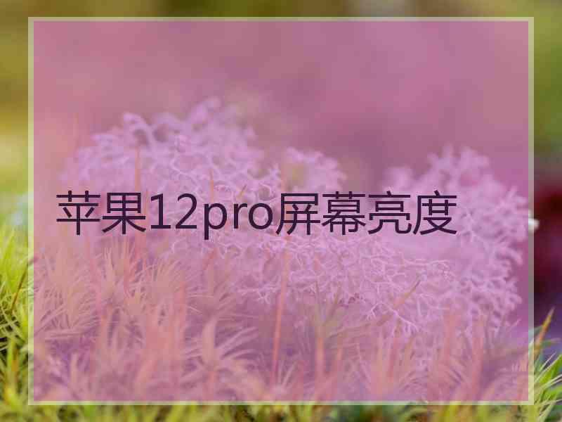 苹果12pro屏幕亮度