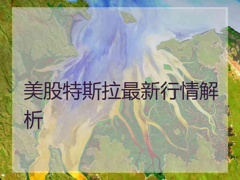 美股特斯拉最新行情解析