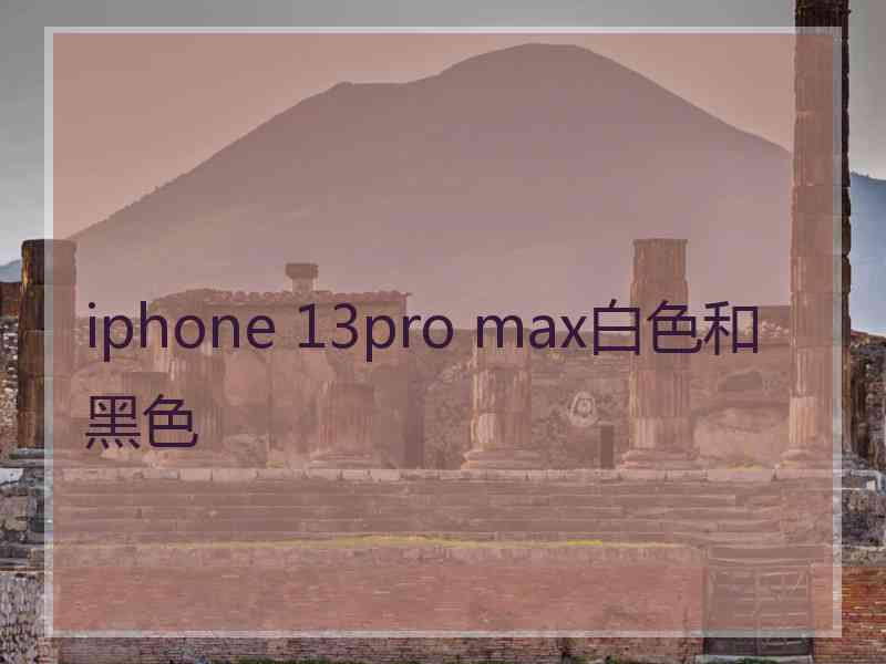 iphone 13pro max白色和黑色