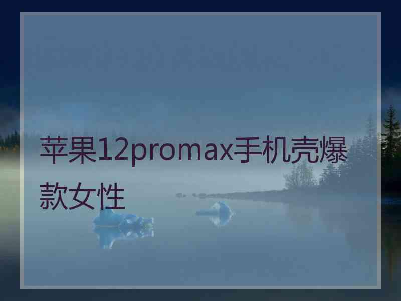 苹果12promax手机壳爆款女性