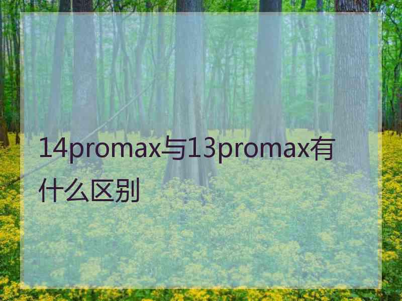 14promax与13promax有什么区别