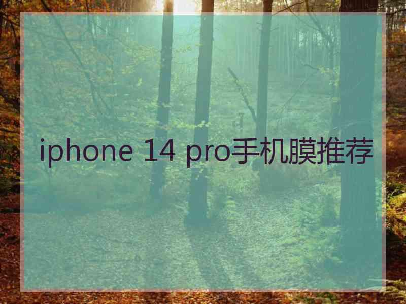 iphone 14 pro手机膜推荐