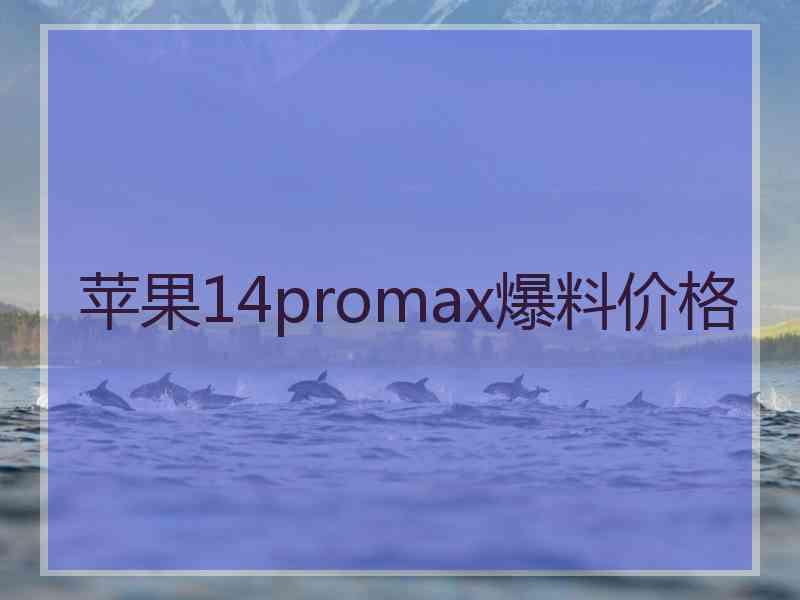 苹果14promax爆料价格