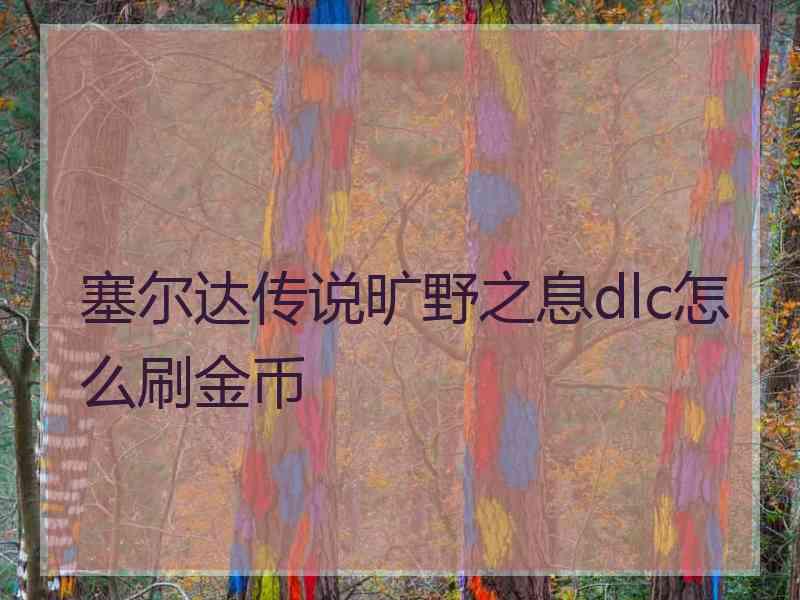 塞尔达传说旷野之息dlc怎么刷金币