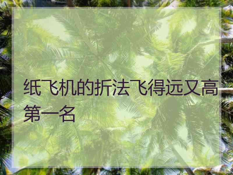 纸飞机的折法飞得远又高第一名