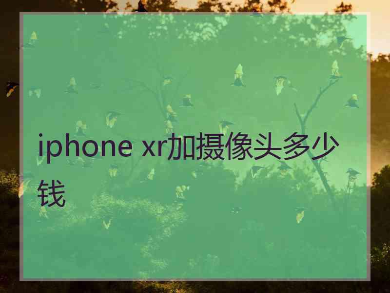 iphone xr加摄像头多少钱