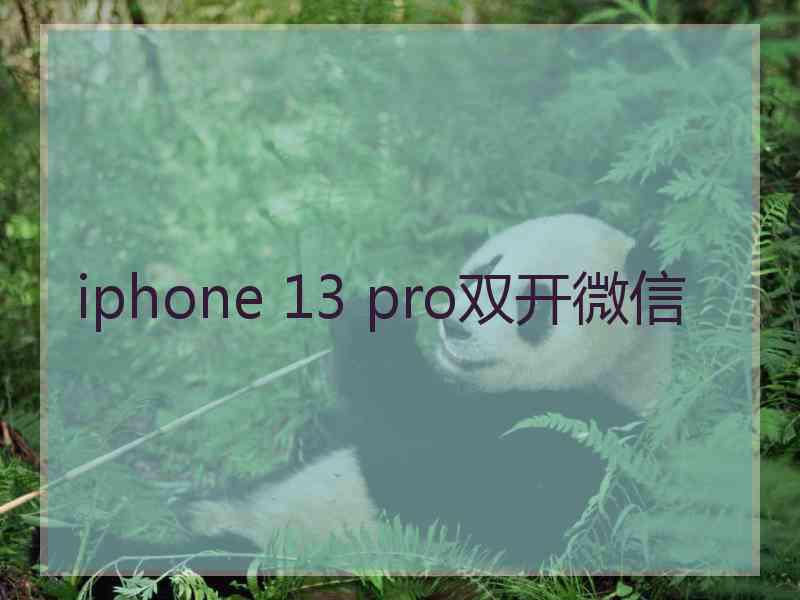 iphone 13 pro双开微信