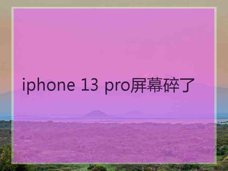 iphone 13 pro屏幕碎了