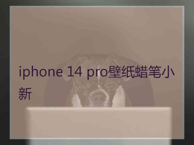 iphone 14 pro壁纸蜡笔小新