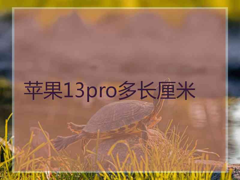 苹果13pro多长厘米