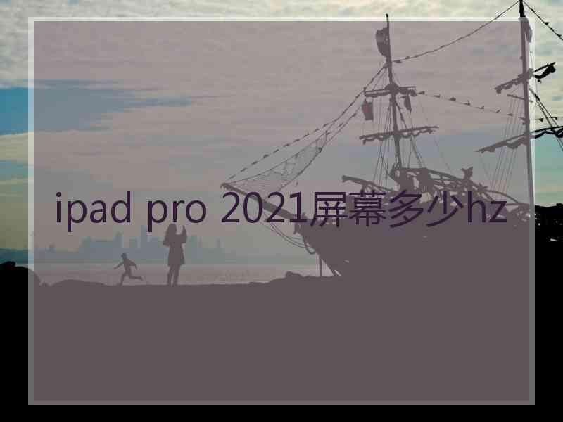 ipad pro 2021屏幕多少hz