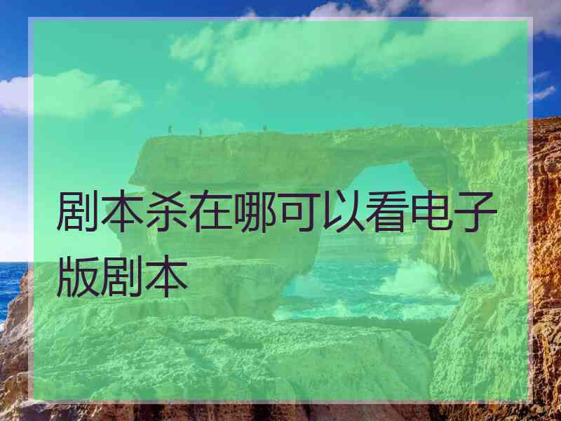 剧本杀在哪可以看电子版剧本