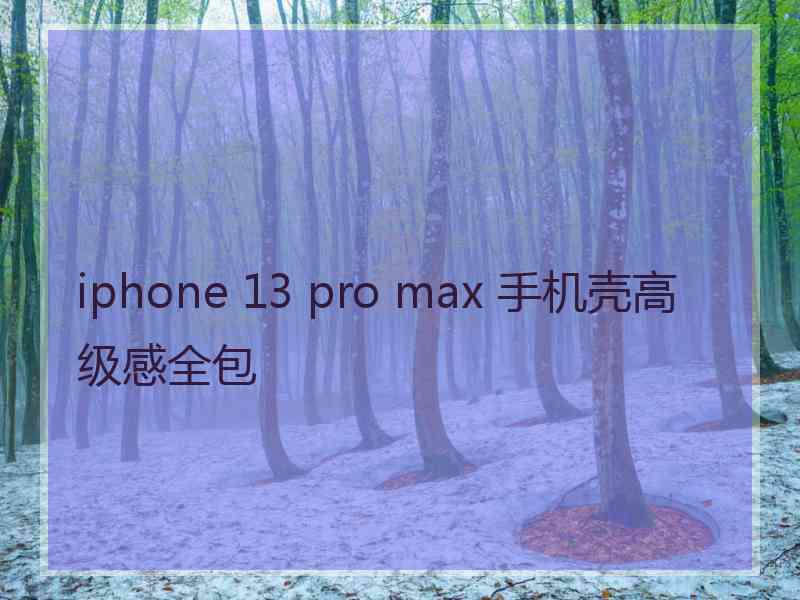 iphone 13 pro max 手机壳高级感全包