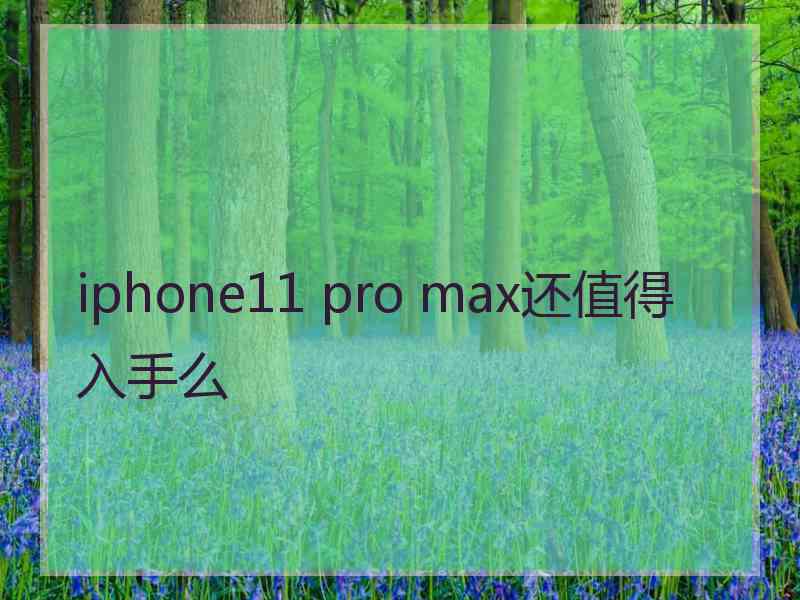 iphone11 pro max还值得入手么