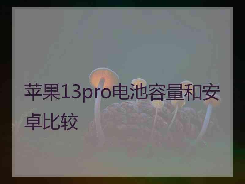 苹果13pro电池容量和安卓比较