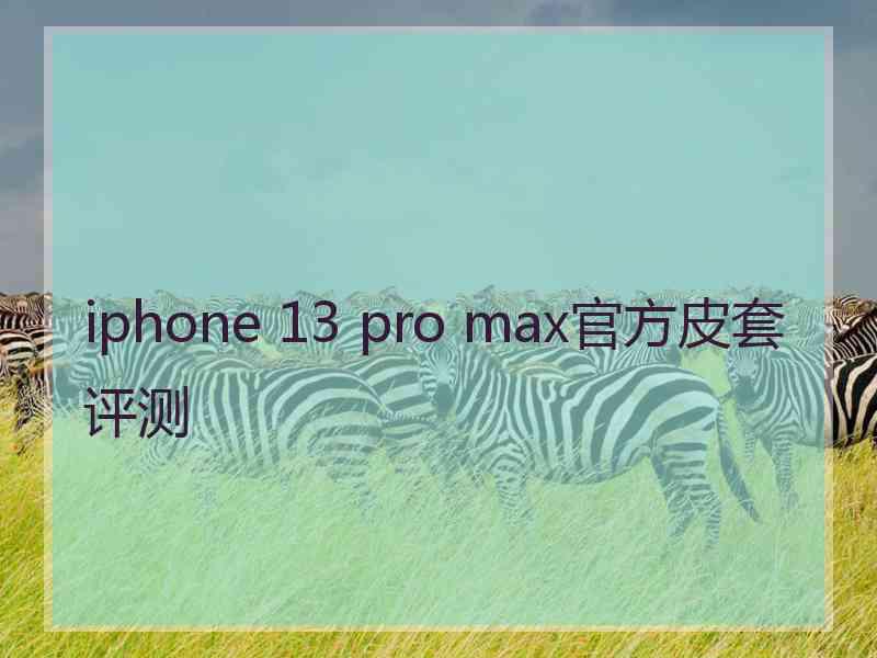 iphone 13 pro max官方皮套评测