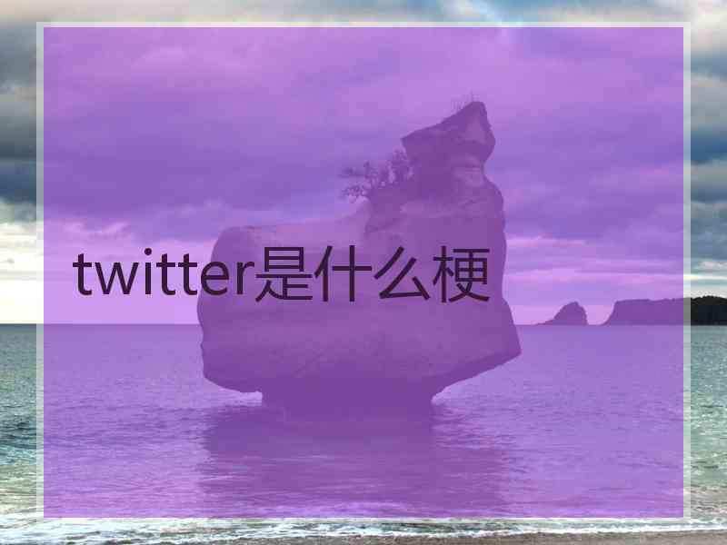 twitter是什么梗