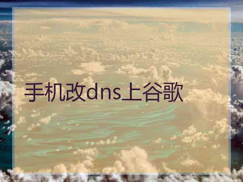 手机改dns上谷歌