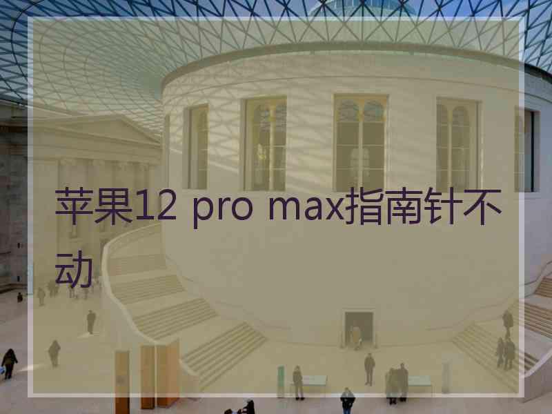 苹果12 pro max指南针不动