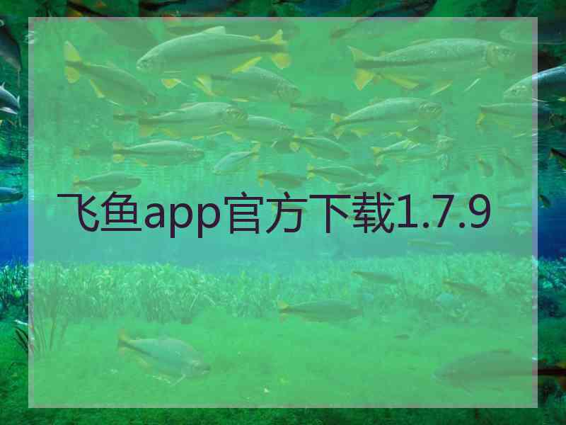 飞鱼app官方下载1.7.9