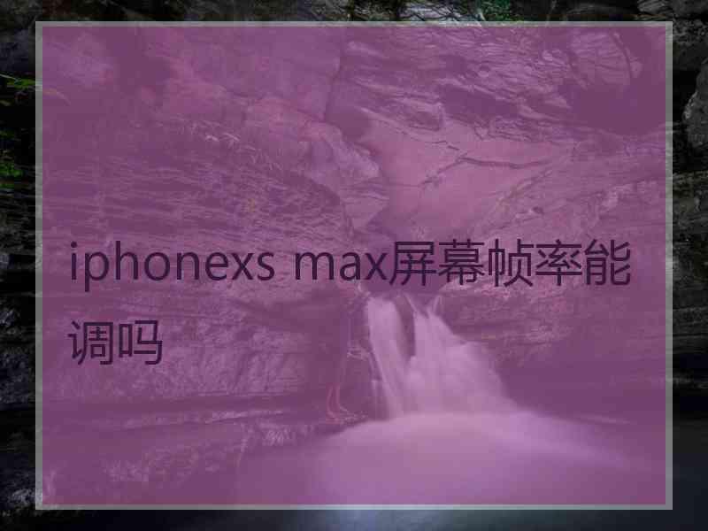 iphonexs max屏幕帧率能调吗