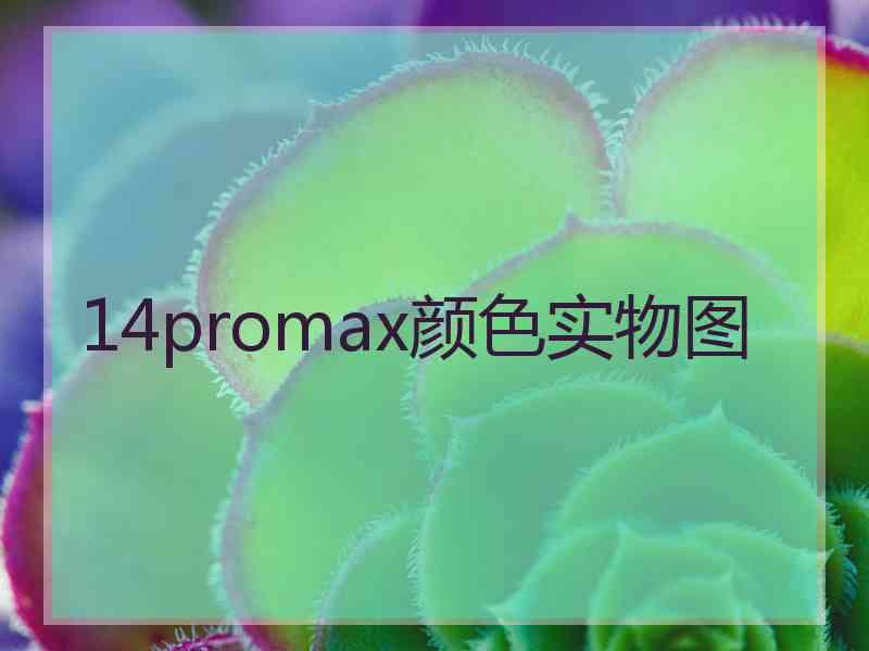 14promax颜色实物图