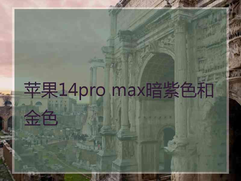 苹果14pro max暗紫色和金色