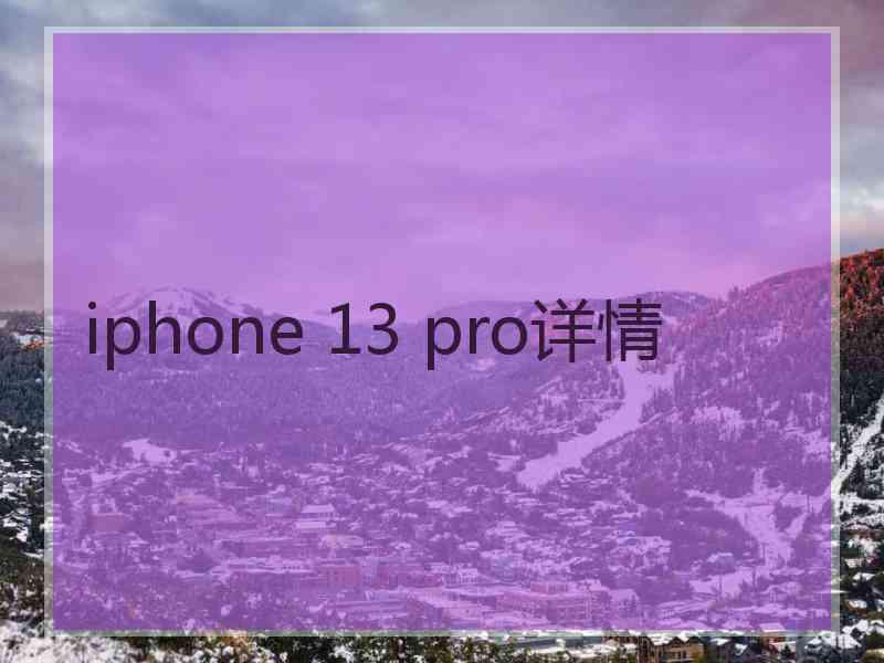 iphone 13 pro详情