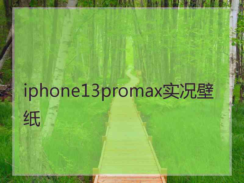 iphone13promax实况壁纸