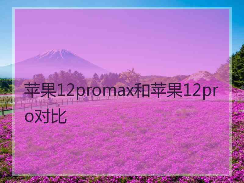 苹果12promax和苹果12pro对比