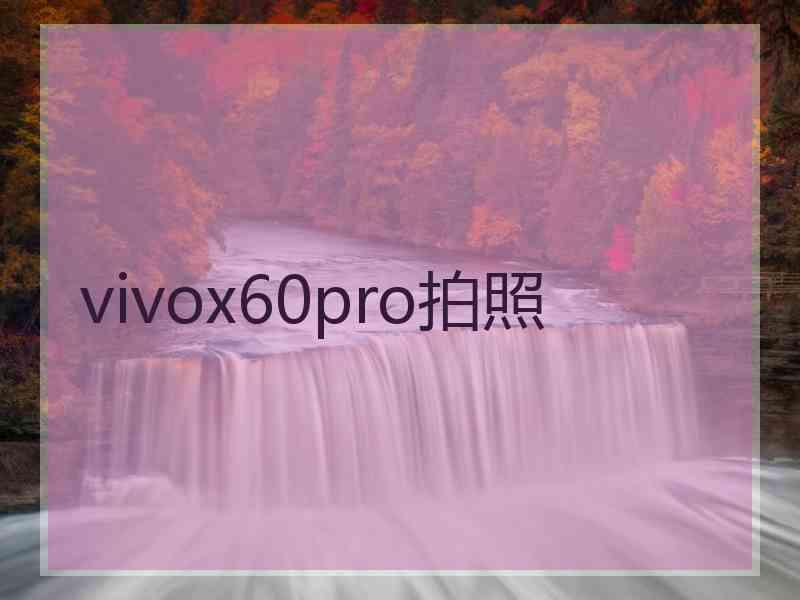 vivox60pro拍照