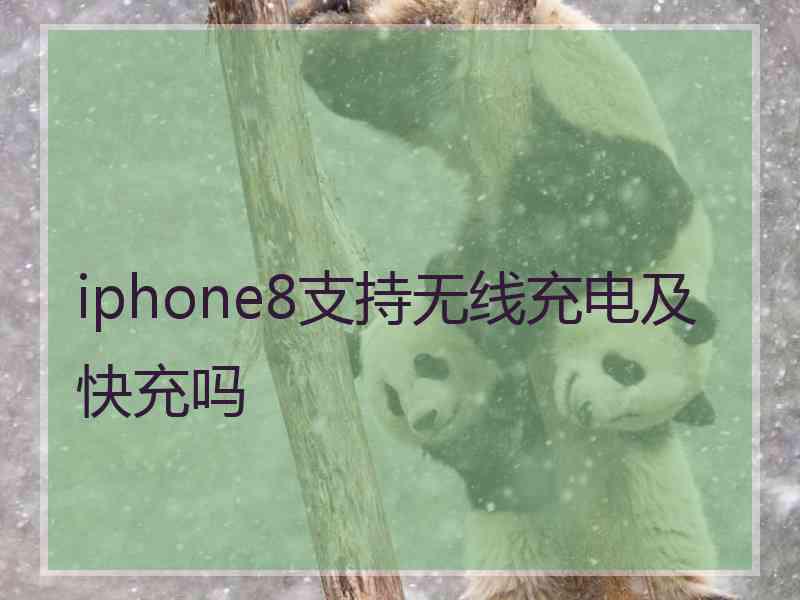 iphone8支持无线充电及快充吗