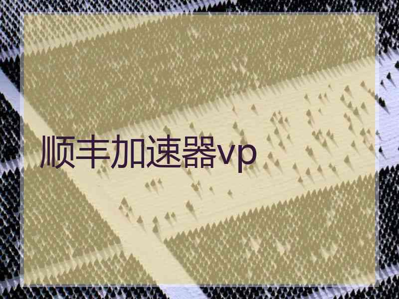 顺丰加速器vp