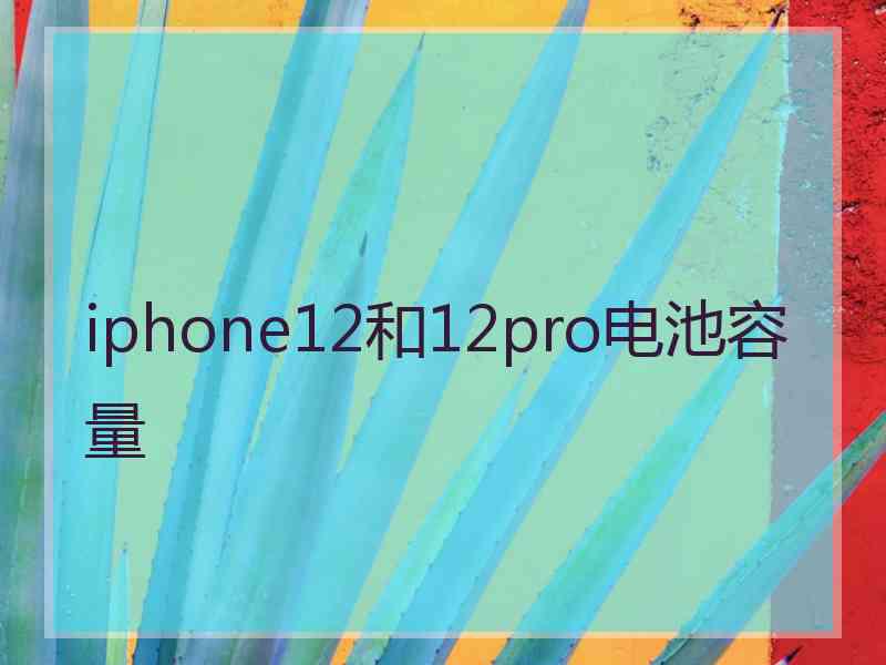 iphone12和12pro电池容量