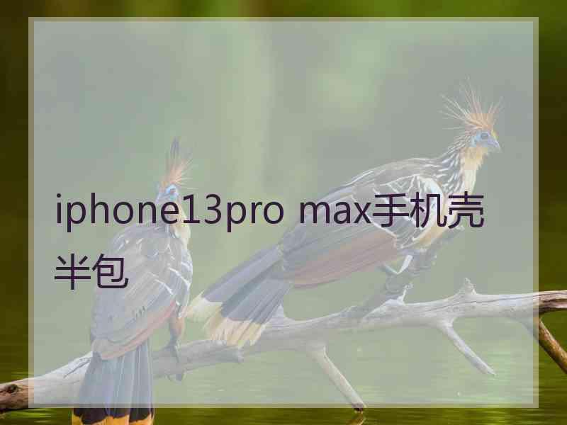 iphone13pro max手机壳半包