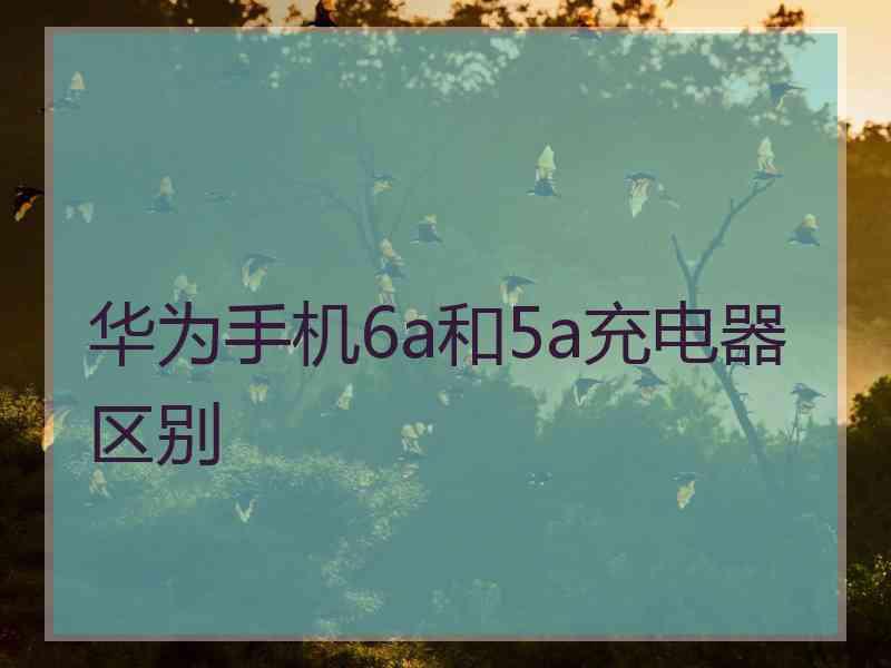 华为手机6a和5a充电器区别