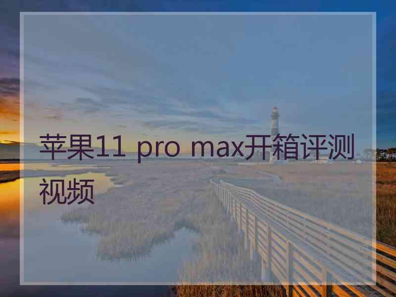 苹果11 pro max开箱评测视频