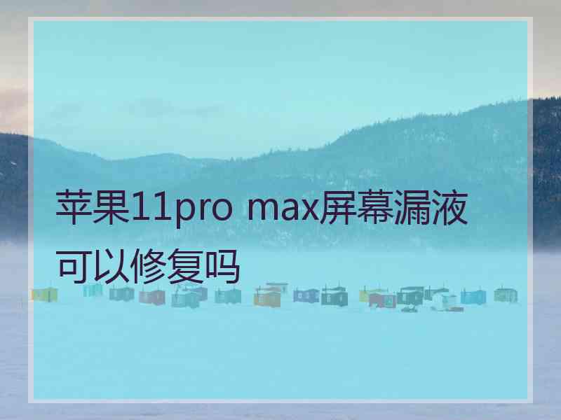 苹果11pro max屏幕漏液可以修复吗