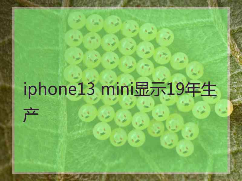 iphone13 mini显示19年生产