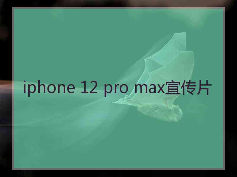 iphone 12 pro max宣传片