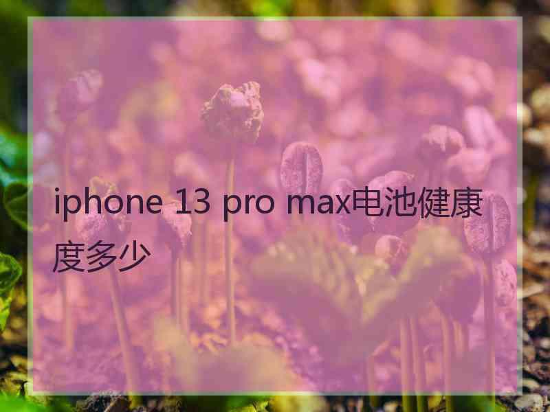 iphone 13 pro max电池健康度多少