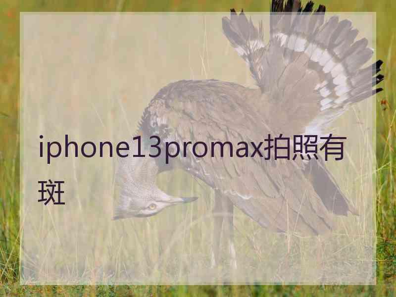 iphone13promax拍照有斑