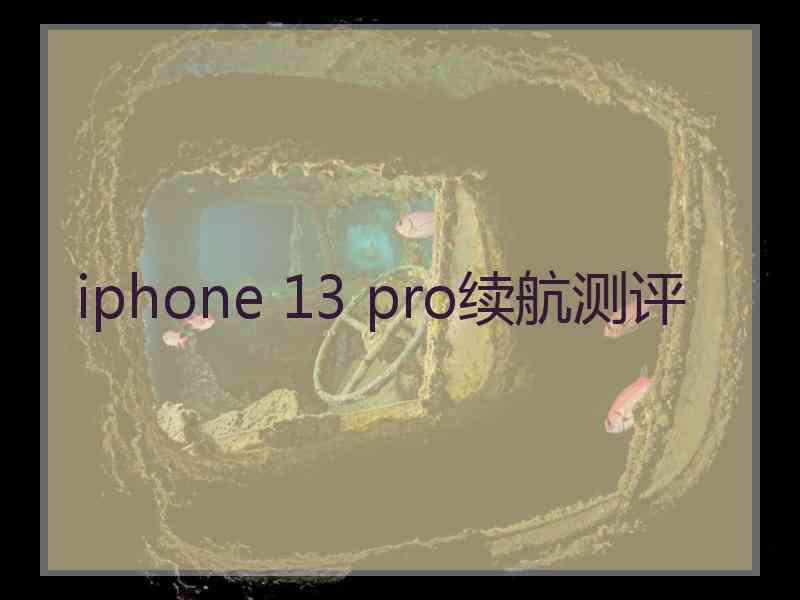 iphone 13 pro续航测评