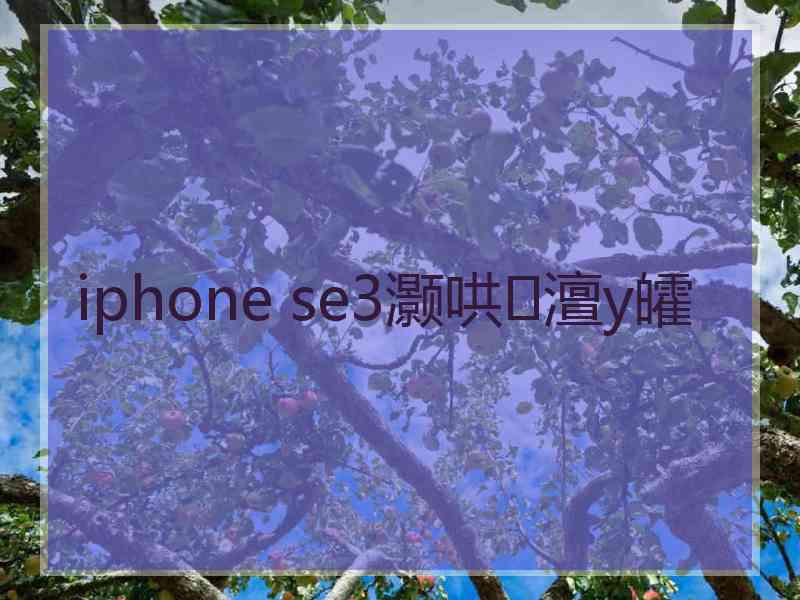 iphone se3灏哄澶у皬